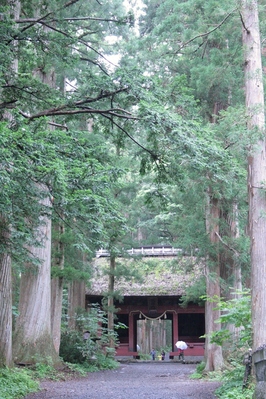 奥社へと続く参道