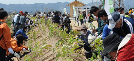 鎮守の森を守る運動