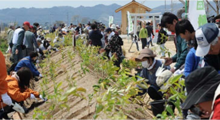 鎮守の森の保護育成事業